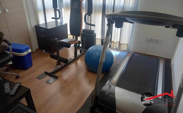 459659225_889923123012657_356635672562722751_n (Copy)