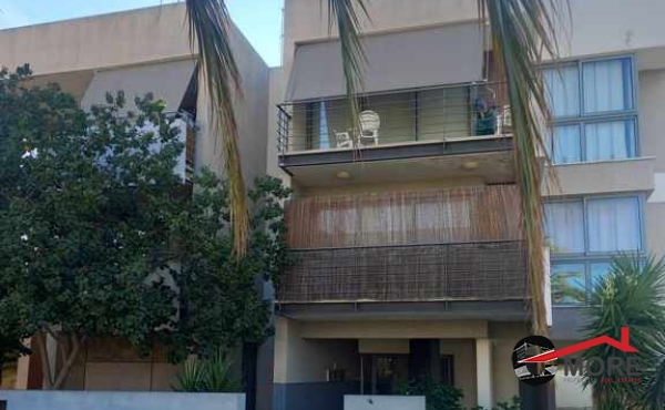 460551181_2012912285826776_4788596201550215290_n (Copy)