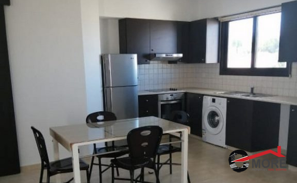 Image_7 (Copy)