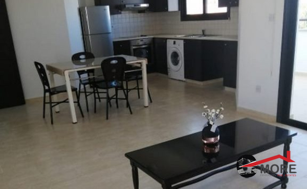 Image_9 (Copy)
