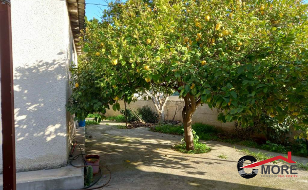 0e5ef14f-ba6d-4f03-850e-eef86590f168 (Copy)