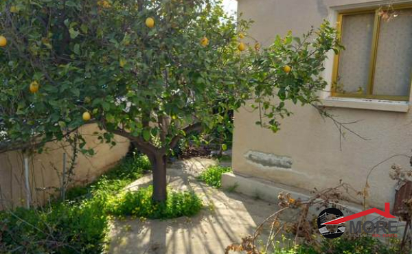 2943c3f9-24ad-47d7-b51f-bc336ce950f7 (Copy)