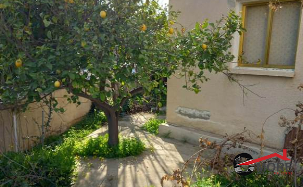 bf18a585-ffc6-45d2-b09a-b446b61a0d21 (Copy)