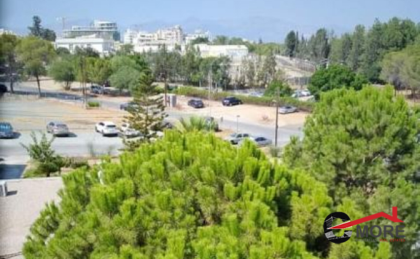 240788178_790525494954909_510662912977087536_n (Copy)