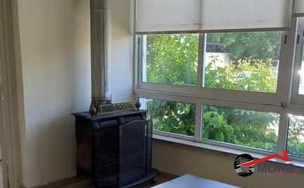 373403288_1047079660037916_3767193632286174589_n (Copy)