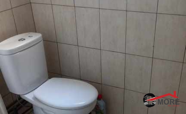 373411405_1744171882699902_5179877460594318841_n (Copy)