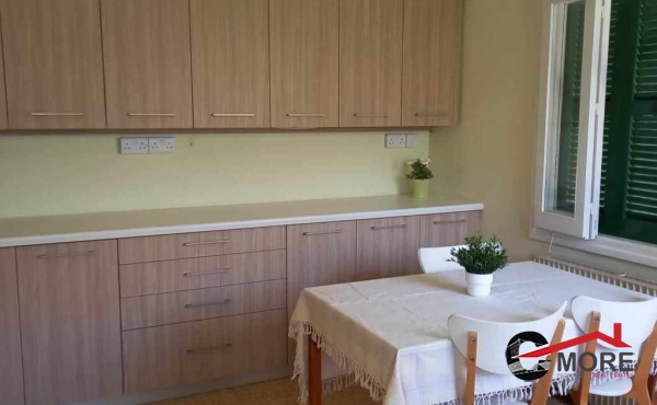 373429431_629079762663576_7191772360405619058_n (Copy)