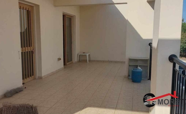 377762891_206549639101596_6340117608813313300_n (Copy)